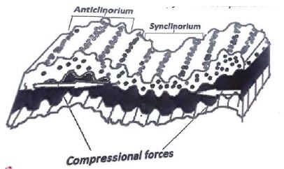 anticlinorium.JPG
